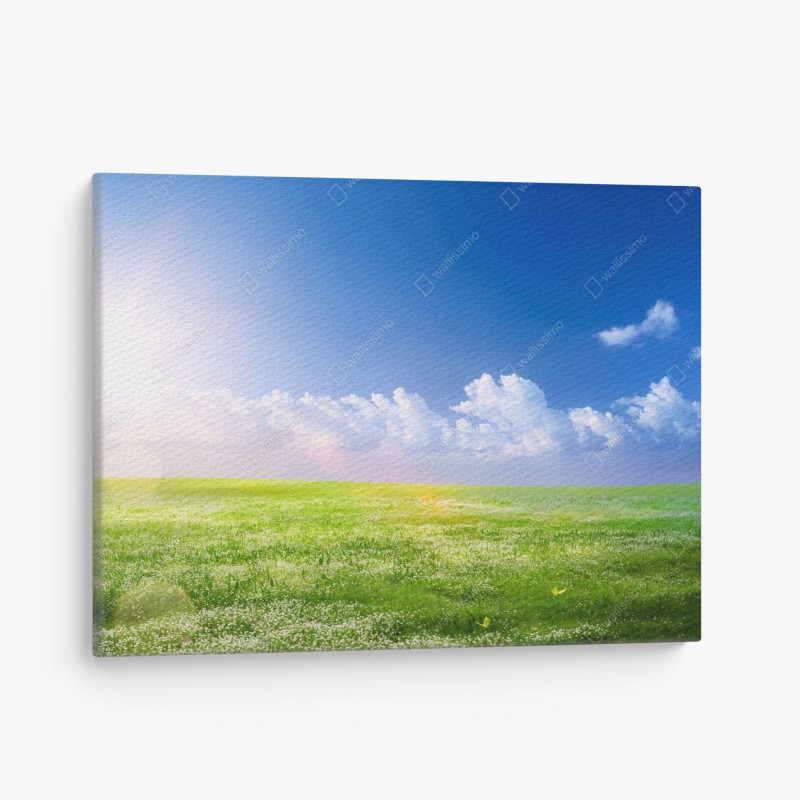 Quadro su tela prato primaverile sotto il cielo azzurro