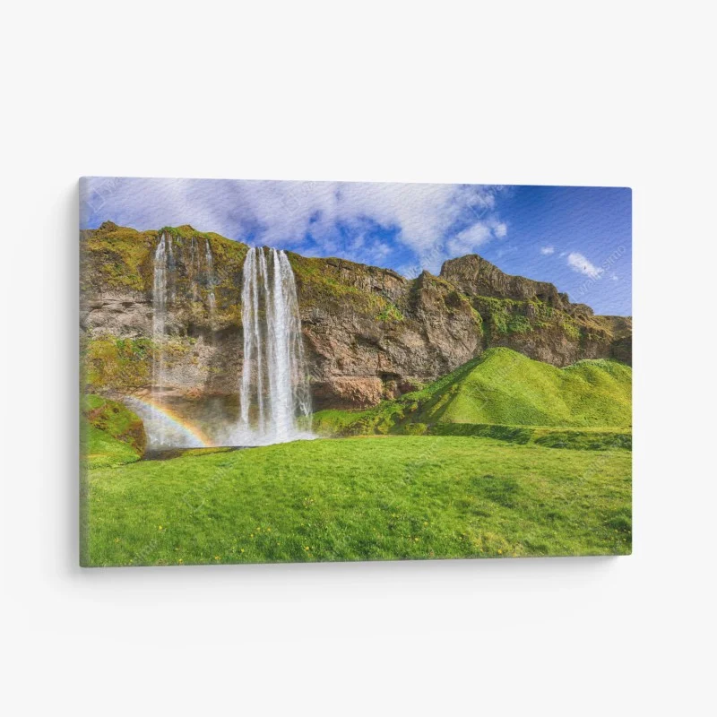 Quadro su tela Seljalandsfoss: cascata maestosa e prato verde