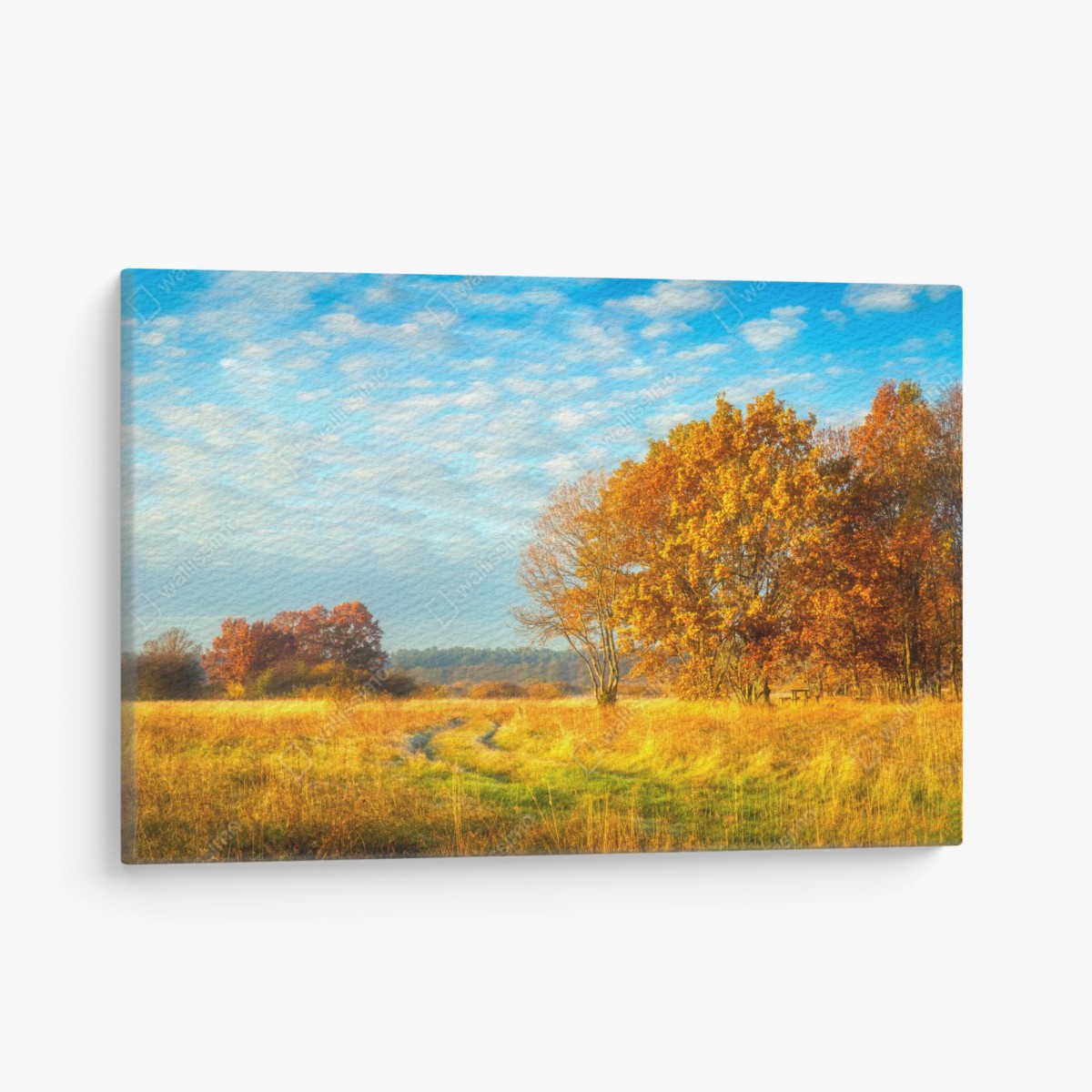 Quadro su tela mattina d'autunno nel prato dorato • Wallissimo®