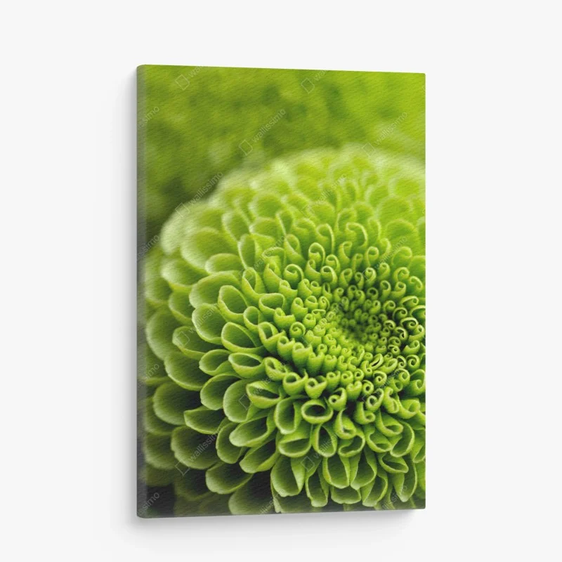 Quadro su tela mandala floreale verde in macro • Wallissimo® Quadro su tela mandala floreale verde in macro • Wallissimo®