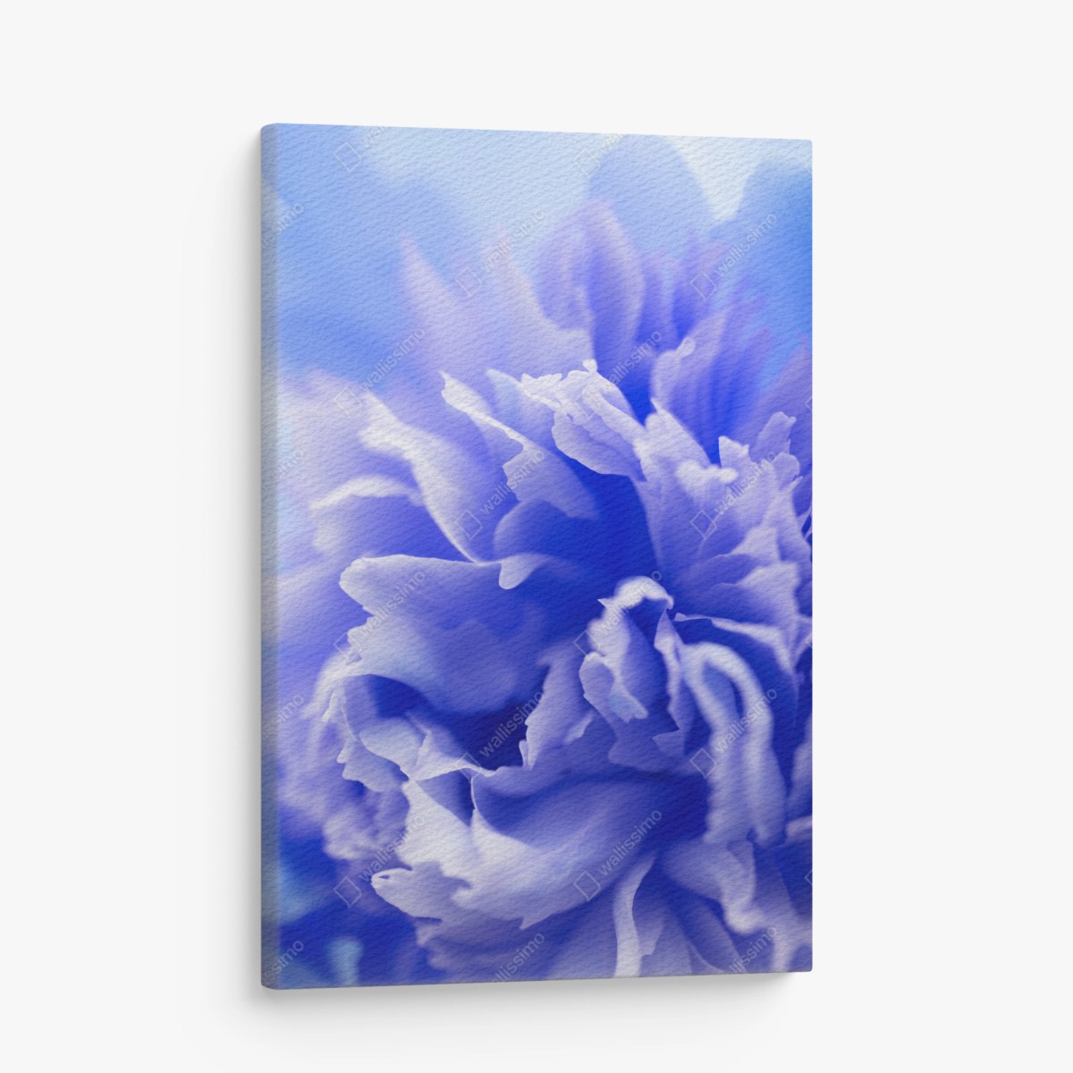 Quadro su tela esplosione di petali blu • Wallissimo®