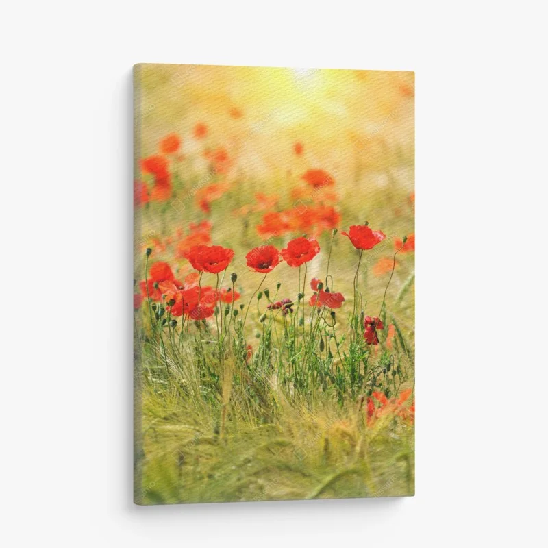 Quadro su tela papaveri al tramonto in campo dorato