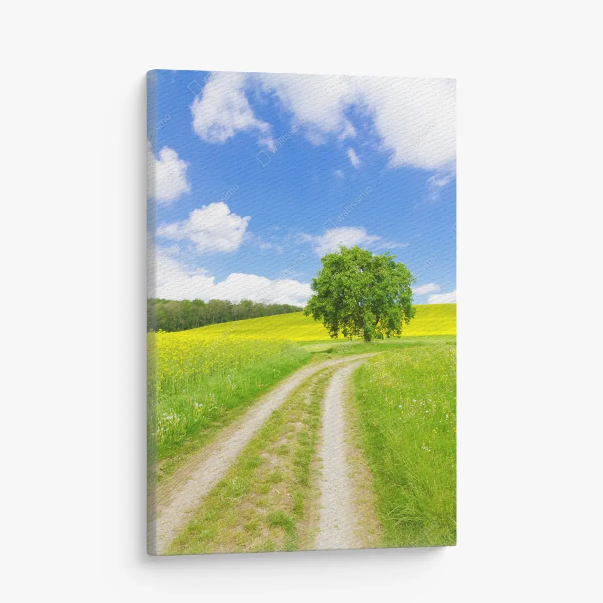 Quadro su tela paesaggio di campagna con albero solitario • Wallissimo®
