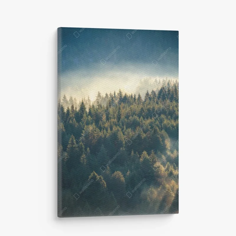 Quadro su tela foresta di pini nella nebbia dorata