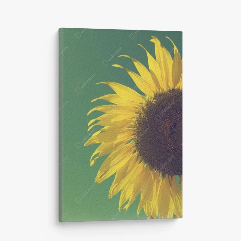 Quadro su tela girasole vintage su cielo verde