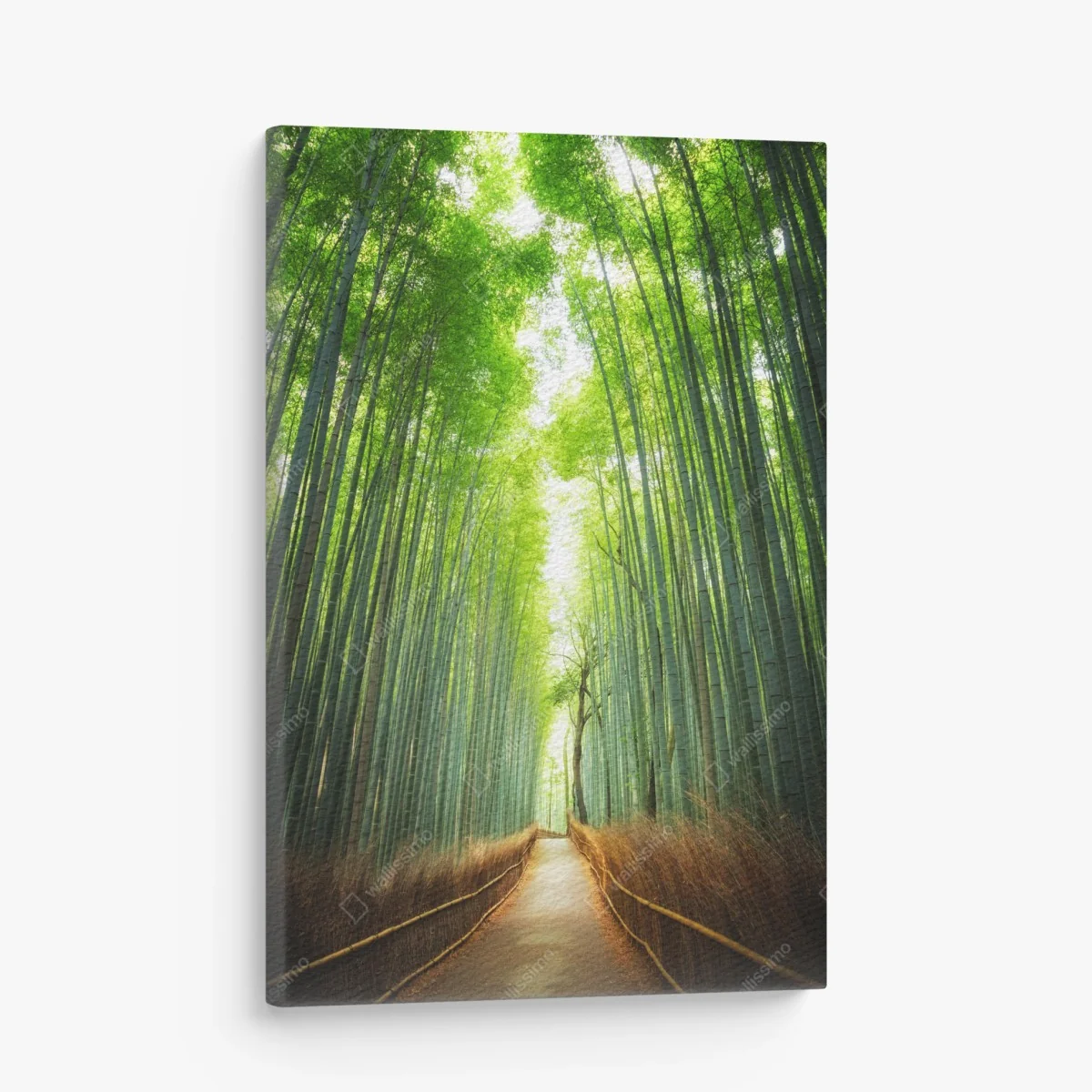 Quadro su tela sentiero nella foresta di bambù di Arashiyama • Wallissimo® Quadro su tela sentiero nella foresta di bambù di Arashiyama • Wallissimo®