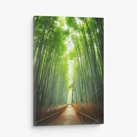 Quadro su tela sentiero nella foresta di bambù di Arashiyama • Wallissimo®