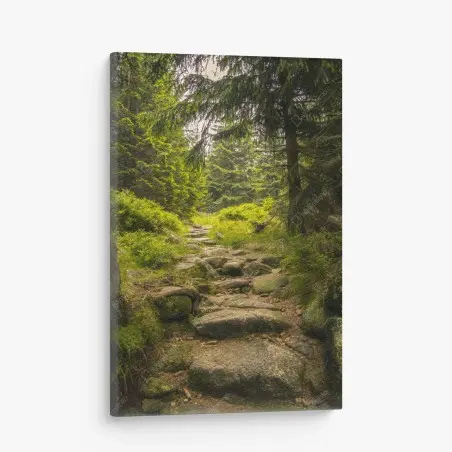 Quadro su tela sentiero roccioso nel bosco • Wallissimo®