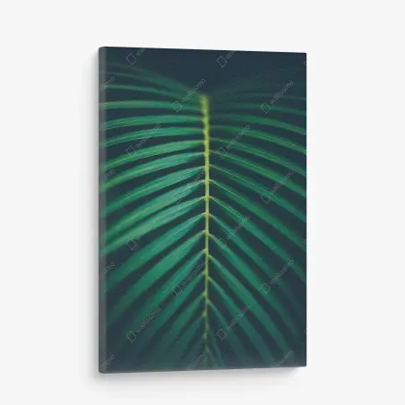 Quadro su tela foglia di palma tropicale in dettaglio • Wallissimo®