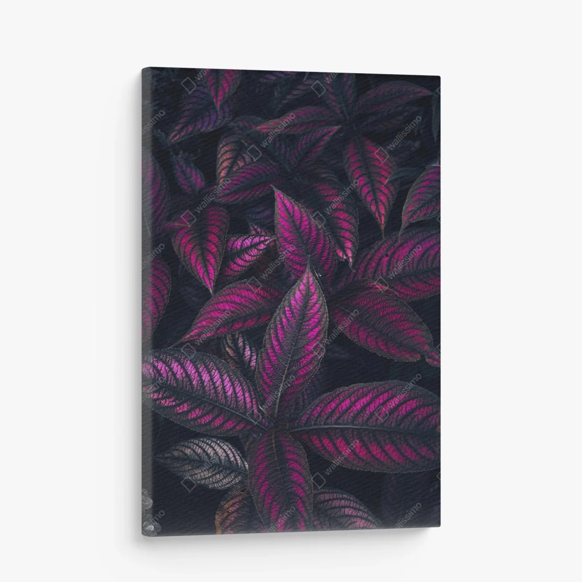 Quadro su tela motivo botanico con foglie magenta • Wallissimo® Quadro su tela motivo botanico con foglie magenta • Wallissimo®