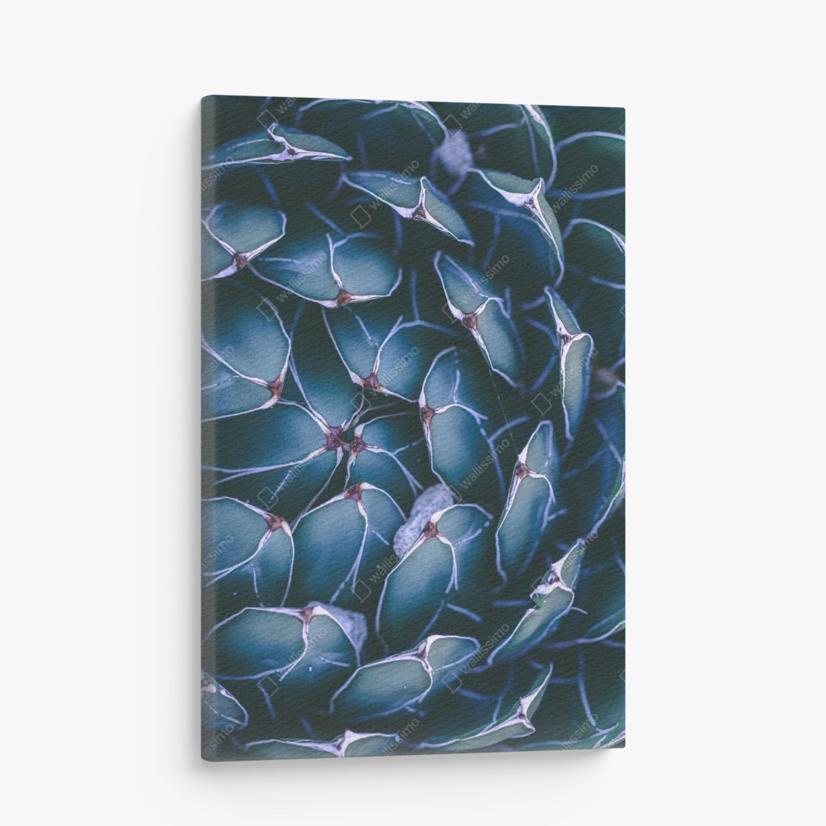 Quadro su tela geometria botanica di agave • Wallissimo®