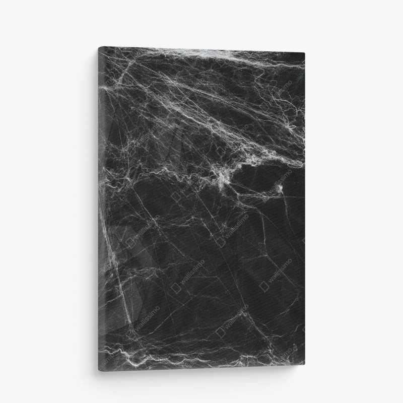 Quadro su tela ragnatela spettrale su sfondo nero
