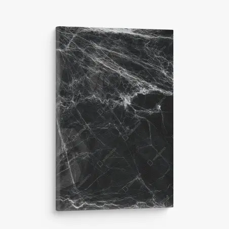 Quadro su tela ragnatela spettrale su sfondo nero • Wallissimo®