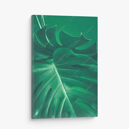 Quadro su tela elegante foglia di monstera su sfondo verde • Wallissimo®