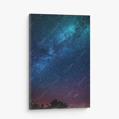 Quadro su tela manto stellato notturno • Wallissimo®