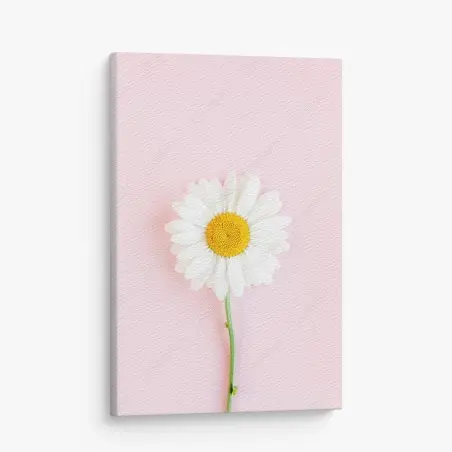 Quadro su tela margherita su sfondo rosa pastello • Wallissimo®