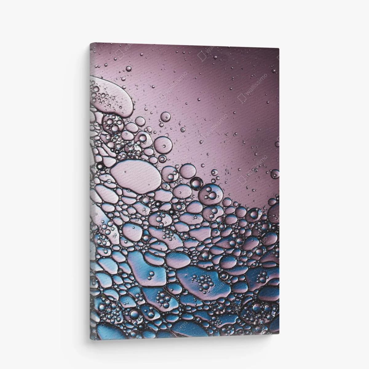 Quadro su tela composizione di bolle astratte in rosa e blu • Wallissimo® Quadro su tela composizione di bolle astratte in rosa e blu • Wallissimo®
