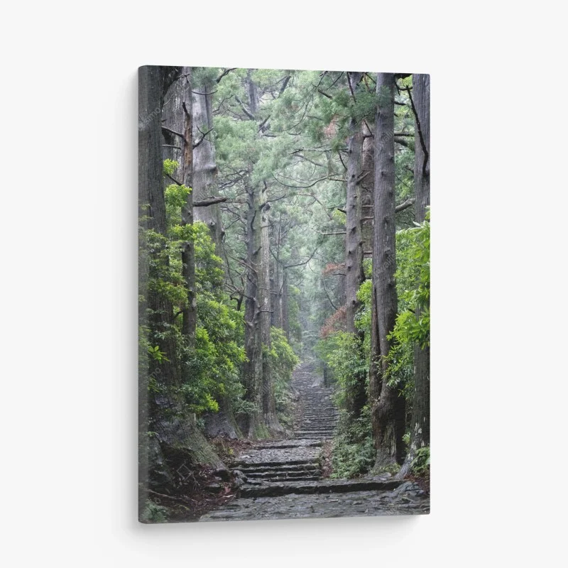 Quadro su tela sentiero silenzioso nella foresta secolare