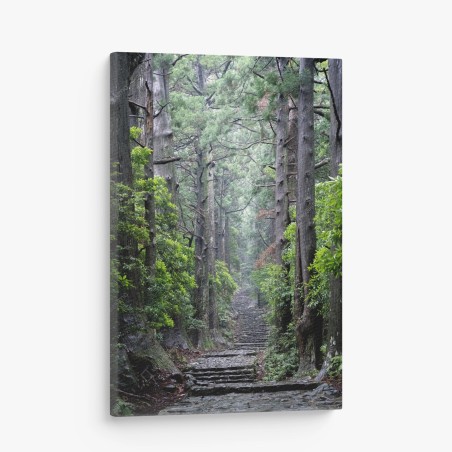 Quadro su tela sentiero silenzioso nella foresta secolare • Wallissimo®