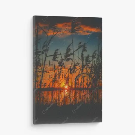 Quadro su tela tramonto sulle rive: silhouette di canne al vento • Wallissimo®
