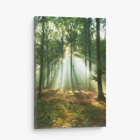Quadro su tela mattino nel bosco: raggi di luce tra gli alberi • Wallissimo®