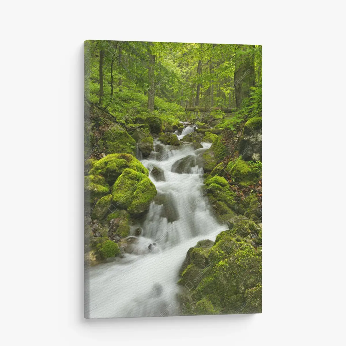 Quadro su tela cascata di smeraldo nella foresta di Slovenský Raj • Wallissimo®