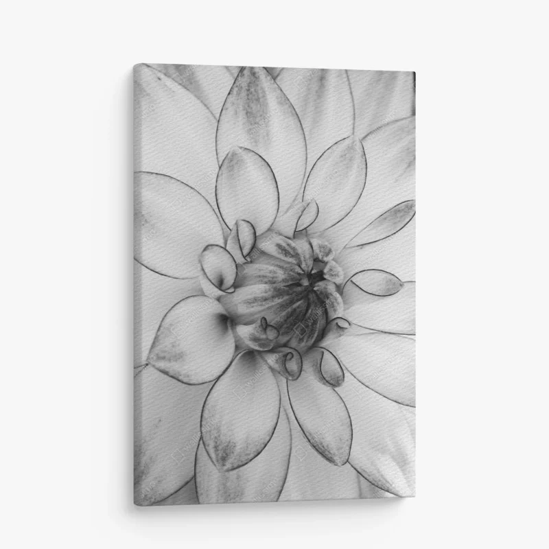 Quadro su tela eleganza floreale in bianco e nero