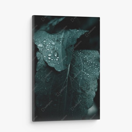 Quadro su tela dettaglio botanico: foglia con gocce • Wallissimo®