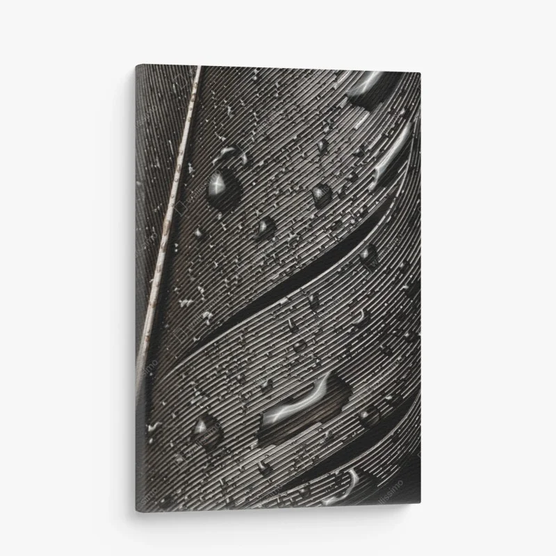Quadro su tela dettaglio di piuma bagnata in bianco e nero