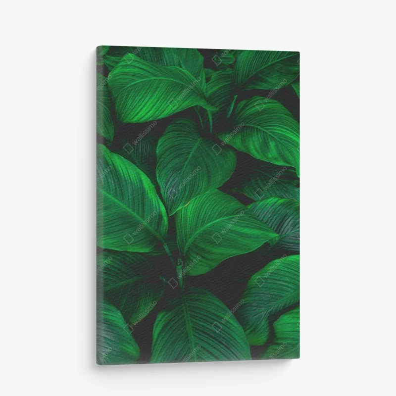 Quadro su tela oasi verde: foglie tropicali in primo piano