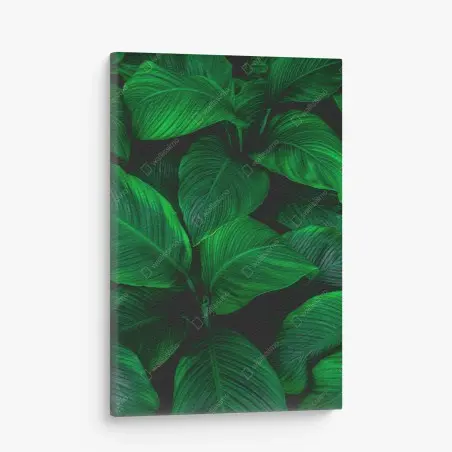 Quadro su tela oasi verde: foglie tropicali in primo piano • Wallissimo®