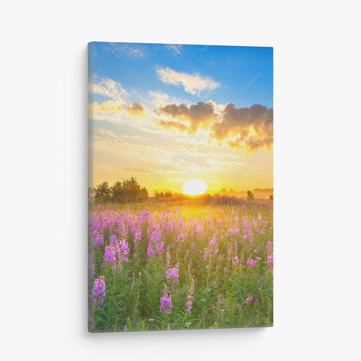 Quadro su tela alba dorata sul prato fiorito • Wallissimo®