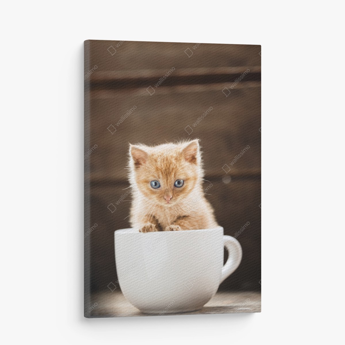 Quadro su tela gattino arancione nella tazza • Wallissimo®