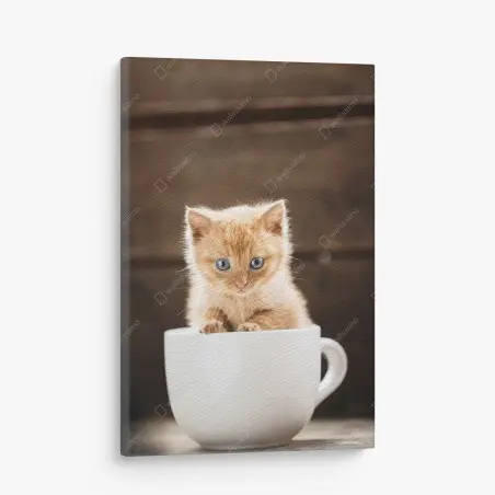 Quadro su tela gattino arancione nella tazza • Wallissimo®