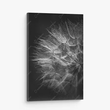 Quadro su tela soffione in bianco e nero: dettaglio botanico elegante • Wallissimo®