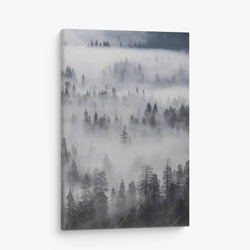 Quadro su tela foresta avvolta nella nebbia