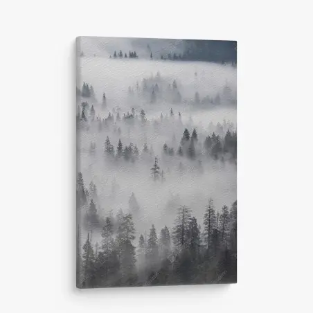 Quadro su tela foresta avvolta nella nebbia • Wallissimo®