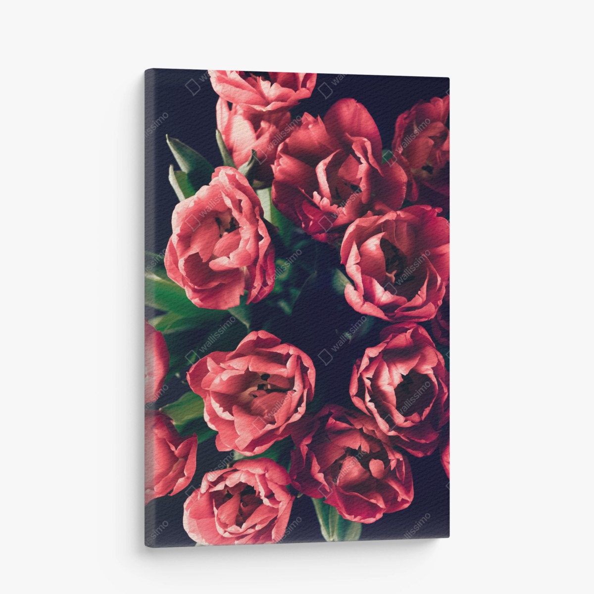 Quadro su tela mazzo di tulipani rosa su sfondo scuro • Wallissimo®