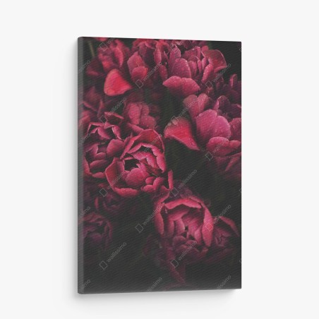 Quadro su tela tulipani rubino con gocce di rugiada • Wallissimo®