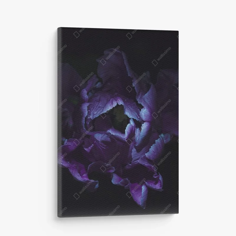 Quadro su tela tulipano viola in luce ultravioletta