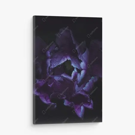Quadro su tela tulipano viola in luce ultravioletta • Wallissimo®