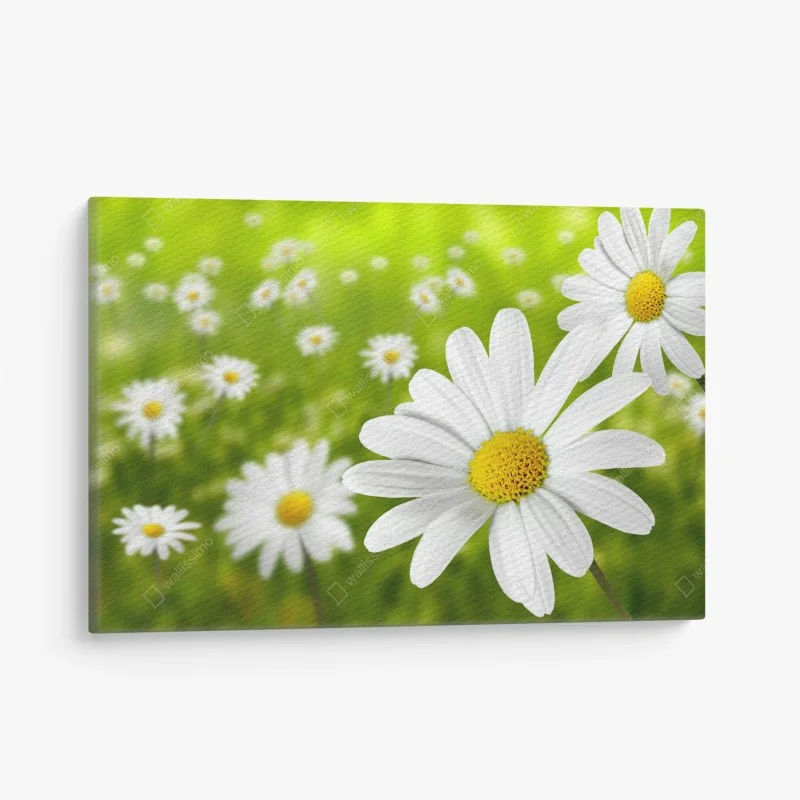 Quadro su tela margherite in primo piano su sfondo verde