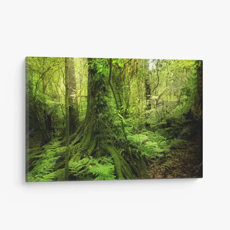 Quadro su tela foresta tropicale incantata