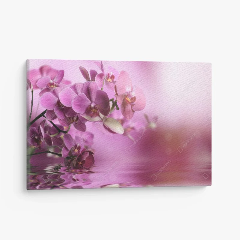 Quadro su tela orchidee rosa con riflesso sull'acqua