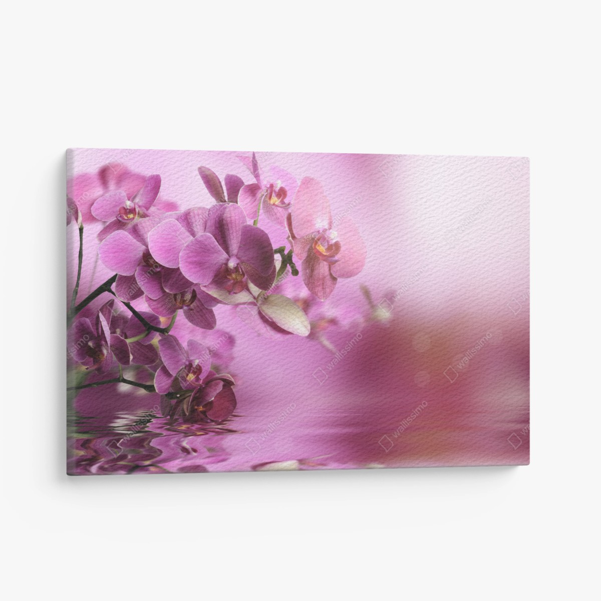 Quadro su tela orchidee rosa con riflesso sull'acqua • Wallissimo®