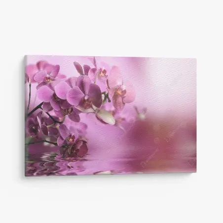 Quadro su tela orchidee rosa con riflesso sull'acqua • Wallissimo®