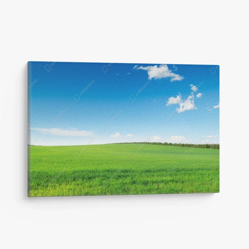 Quadro su tela prato verde sotto un cielo azzurro