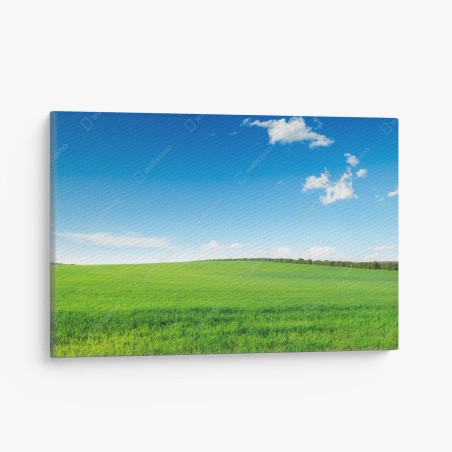 Quadro su tela prato verde sotto un cielo azzurro • Wallissimo®