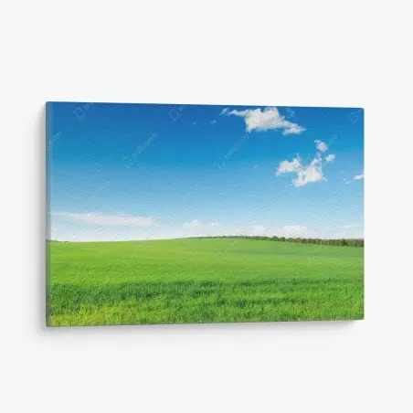 Quadro su tela prato verde sotto un cielo azzurro • Wallissimo®