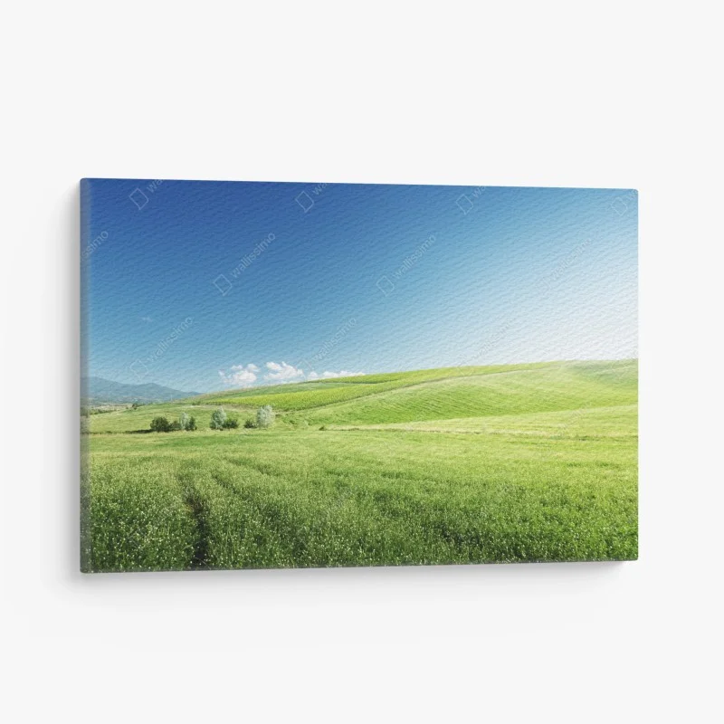 Quadro su tela colline verdi e cielo sereno • Wallissimo®